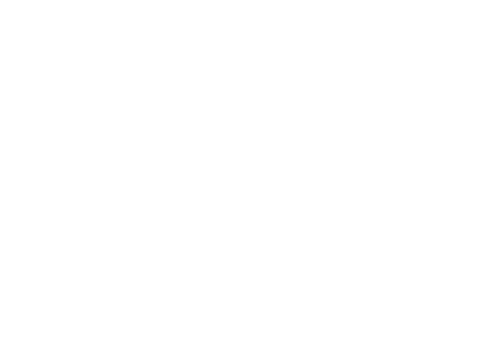 Central Michigan International Film Festival Official Selection 2026