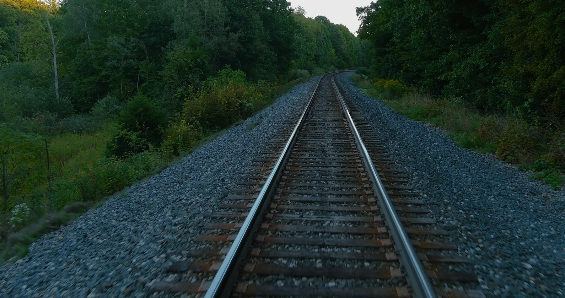 Railroad tracks curving through woods